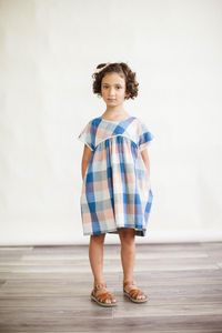 The Gooseberry Dress in Blue Chex