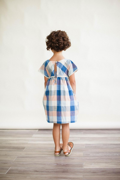 The Gooseberry Dress in Blue Chex